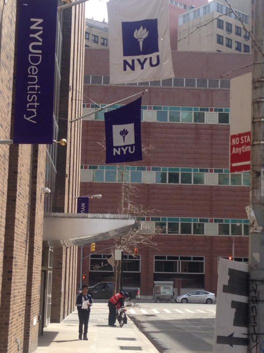 New York University.